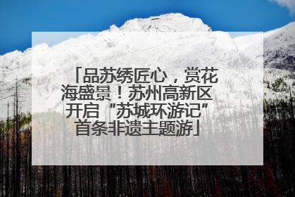 品苏绣匠心，赏花海盛景！苏州高新区开启“苏城环游记”首条非遗主题游