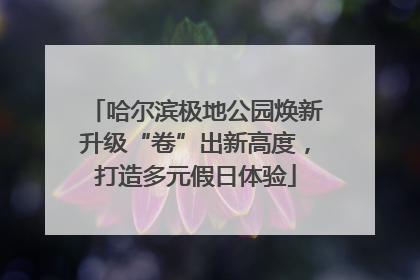 哈尔滨极地公园焕新升级“卷”出新高度，打造多元假日体验