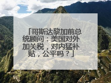哥斯达黎加前总统顾问：美国对外加关税，对内猛补贴，公平吗？