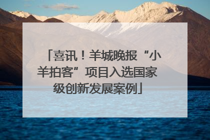 喜讯！羊城晚报“小羊拍客”项目入选国家级创新发展案例