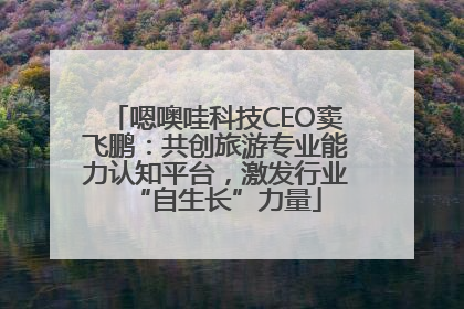 嗯噢哇科技CEO窦飞鹏：共创旅游专业能力认知平台，激发行业“自生长”力量