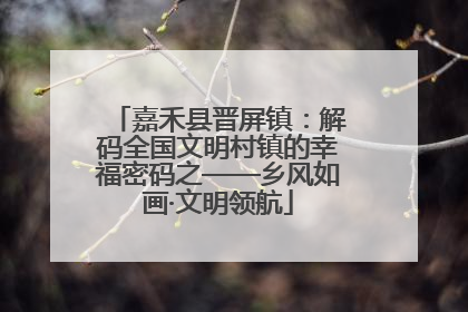 嘉禾县晋屏镇：解码全国文明村镇的幸福密码之——乡风如画·文明领航