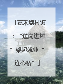 嘉禾塘村镇：“送岗进村”架起就业“连心桥”