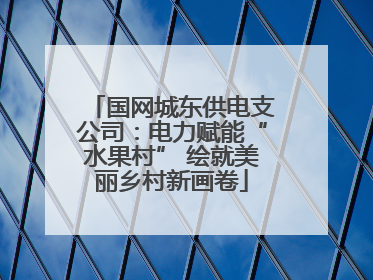 国网城东供电支公司：电力赋能“水果村” 绘就美丽乡村新画卷
