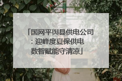 国网平舆县供电公司：迎峰度夏保供电  数智赋能守清凉