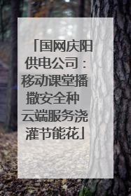 国网庆阳供电公司：移动课堂播撒安全种 云端服务浇灌节能花