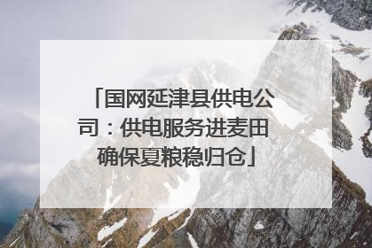 国网延津县供电公司：供电服务进麦田 确保夏粮稳归仓
