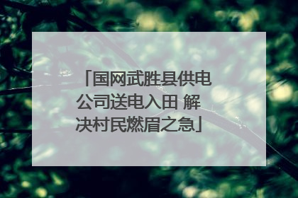 国网武胜县供电公司送电入田 解决村民燃眉之急