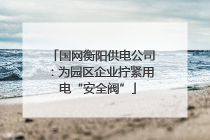 国网衡阳供电公司：为园区企业拧紧用电“安全阀”