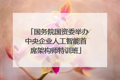 国务院国资委举办中央企业人工智能首席架构师特训班
