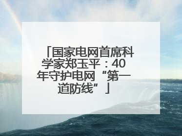 国家电网首席科学家郑玉平：40年守护电网“第一道防线”