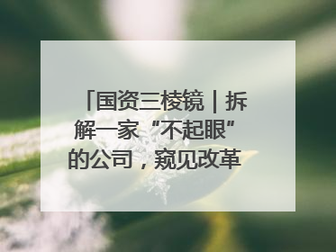 国资三棱镜｜拆解一家“不起眼”的公司，窥见改革中的山东国企