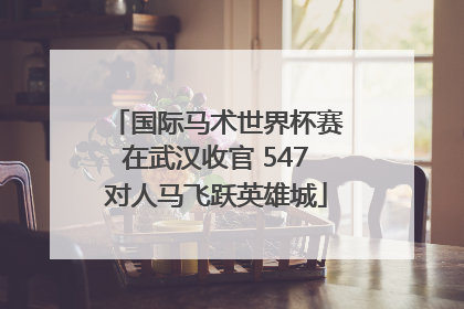 国际马术世界杯赛在武汉收官 547对人马飞跃英雄城