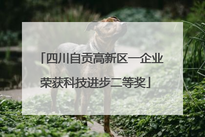 四川自贡高新区一企业荣获科技进步二等奖