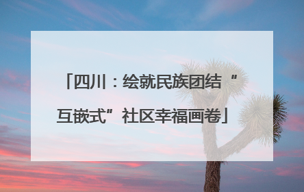 四川：绘就民族团结“互嵌式”社区幸福画卷