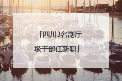 四川3名副厅级干部任新职
