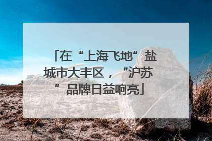 在“上海飞地”盐城市大丰区，“沪苏”品牌日益响亮