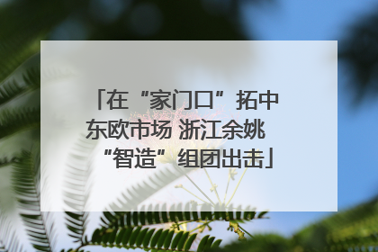 在“家门口”拓中东欧市场 浙江余姚“智造”组团出击