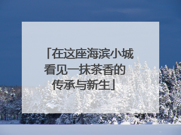 在这座海滨小城 看见一抹茶香的传承与新生