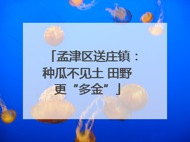 孟津区送庄镇：种瓜不见土 田野更“多金”