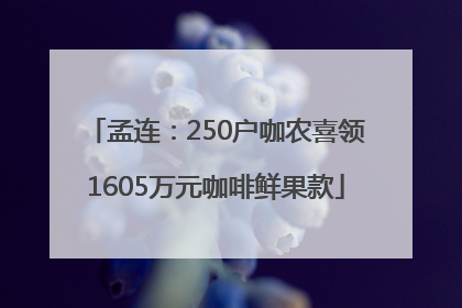 孟连：250户咖农喜领1605万元咖啡鲜果款