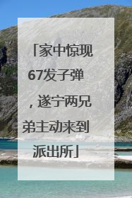 家中惊现67发子弹，遂宁两兄弟主动来到派出所
