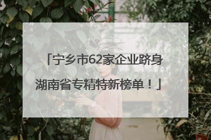 宁乡市62家企业跻身湖南省专精特新榜单！