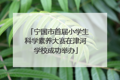 宁国市首届小学生科学素养大赛在津河学校成功举办