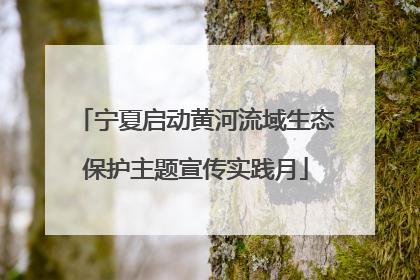 宁夏启动黄河流域生态保护主题宣传实践月