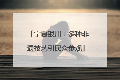 宁夏银川：多种非遗技艺引民众参观
