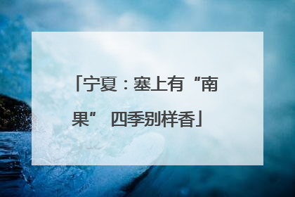 宁夏：塞上有“南果” 四季别样香