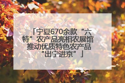 宁夏670余款“六特”农产品亮相农展馆 推动优质特色农产品“出宁进京”