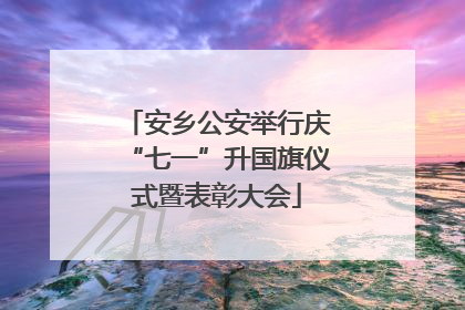 安乡公安举行庆“七一”升国旗仪式暨表彰大会