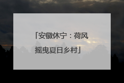 安徽休宁：荷风摇曳夏日乡村