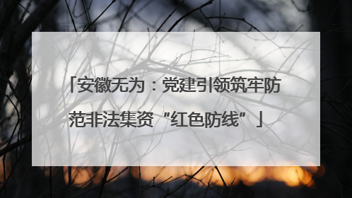 安徽无为：党建引领筑牢防范非法集资“红色防线”