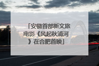 安徽首部新文旅电影《风起秋浦河》在合肥首映