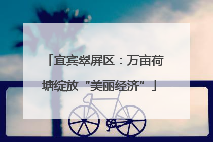 宜宾翠屏区：万亩荷塘绽放“美丽经济”
