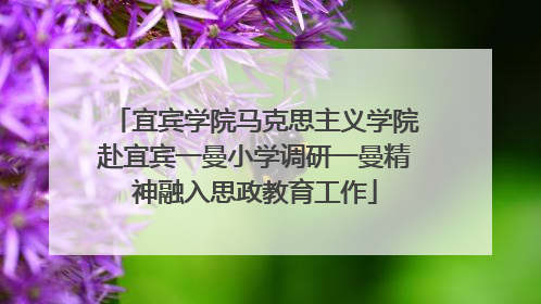 宜宾学院马克思主义学院赴宜宾一曼小学调研一曼精神融入思政教育工作
