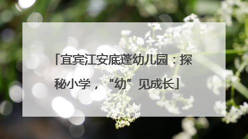 宜宾江安底蓬幼儿园：探秘小学，“幼”见成长