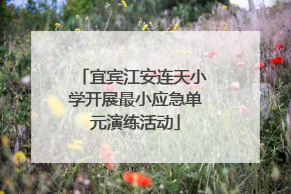 宜宾江安连天小学开展最小应急单元演练活动