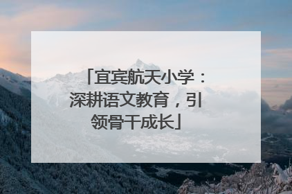 宜宾航天小学：深耕语文教育，引领骨干成长