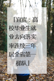 宜宾：高校毕业生就业去向落实率连续三年居全省第一梯队