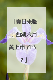 夏日来临，西湖六月黄上市了吗？