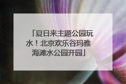 夏日来主题公园玩水！北京欢乐谷玛雅海滩水公园开园