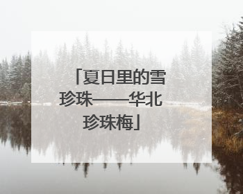 夏日里的雪珍珠——华北珍珠梅