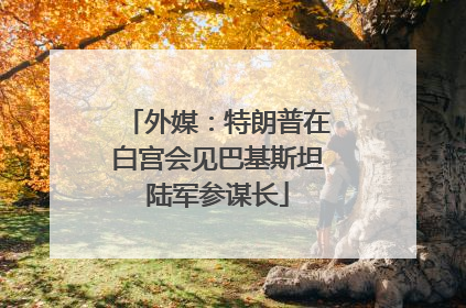 外媒：特朗普在白宫会见巴基斯坦陆军参谋长