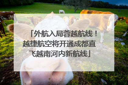 外航入局蓉越航线！越捷航空将开通成都直飞越南河内新航线