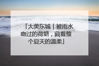 大美东城｜被雨水吻过的荷塘，藏着整个夏天的温柔