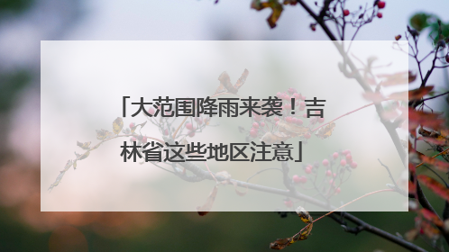 大范围降雨来袭！吉林省这些地区注意