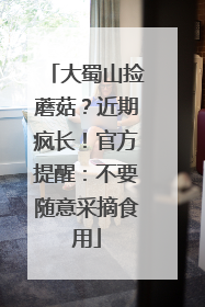 大蜀山捡蘑菇？近期疯长！官方提醒：不要随意采摘食用